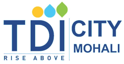 TDI Group