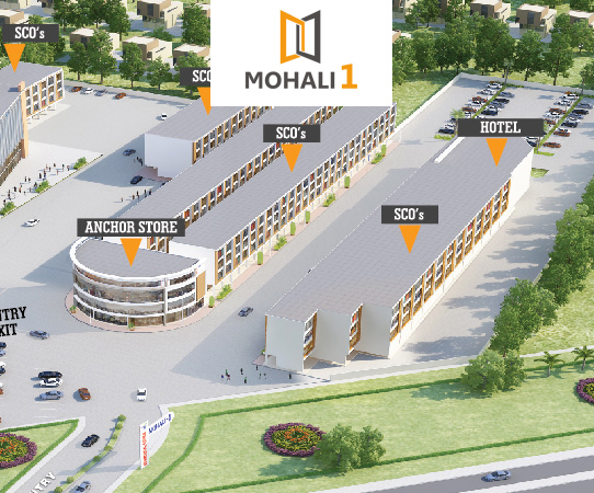 Mohali 1